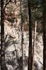 2018-01-16 to 2018-01-20 Bandolier and Jemez NM 072